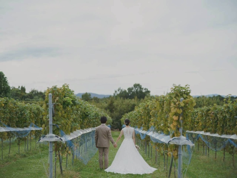 青空の下でこんな写真が撮りたい！が叶うロケーションフォト_52974_投稿写真_1