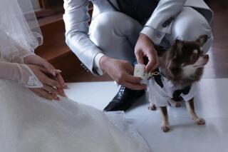 CLAIRE奈良店（チャペルクレール）_アドバイス写真