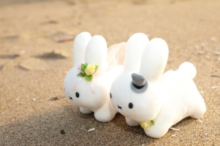 Asect名古屋本店_アドバイス写真