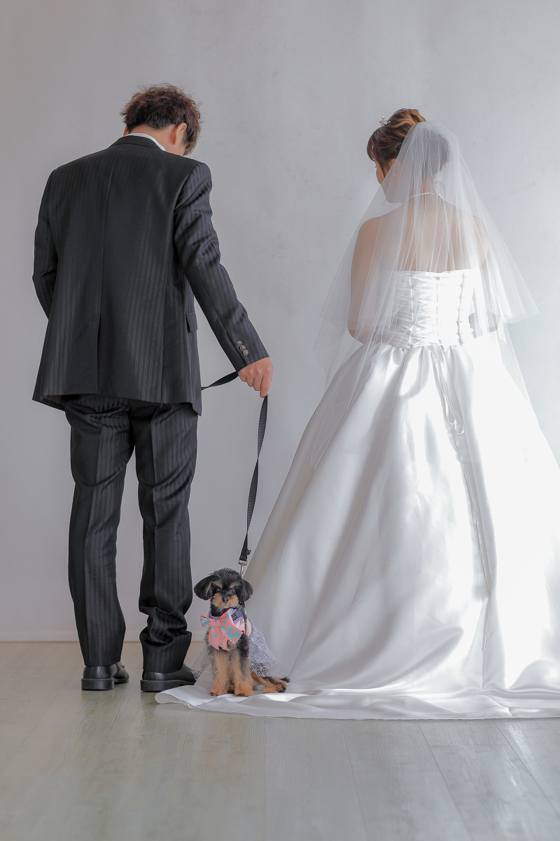 小さな結婚式 宮崎店_投稿写真