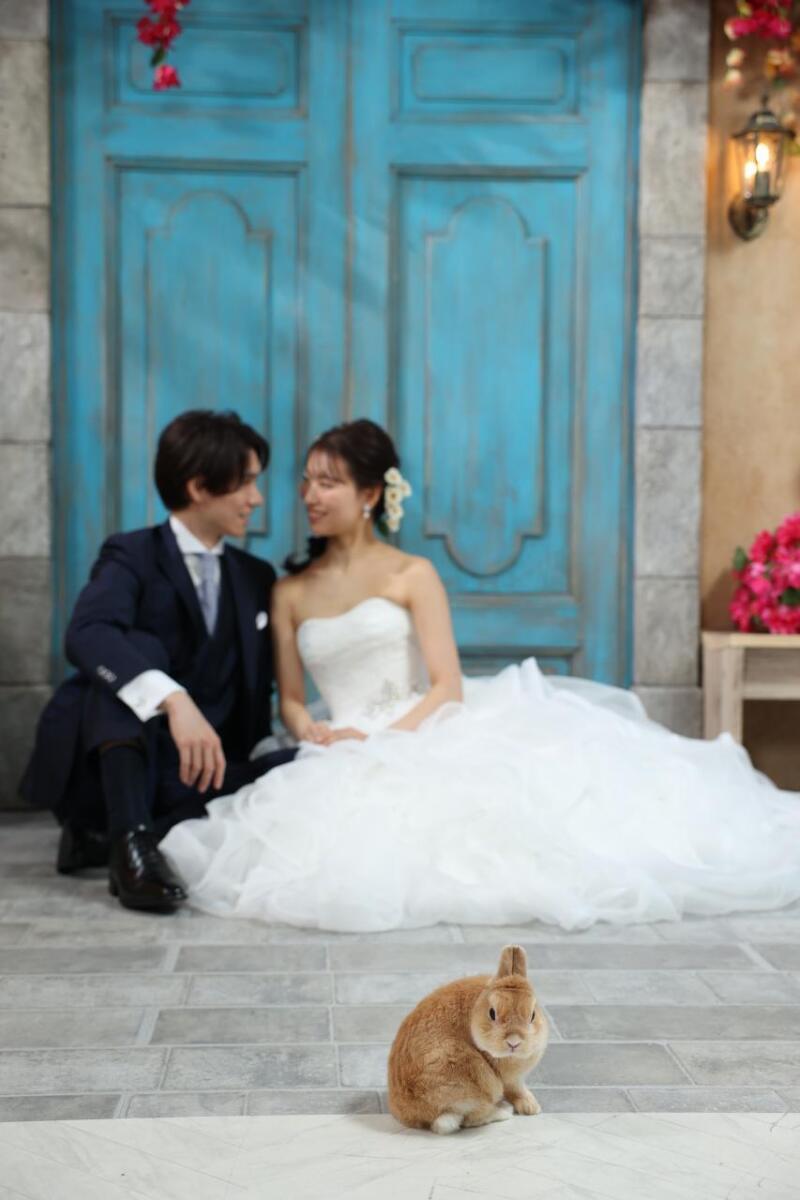 愛するうさぎと夫とのウエディングフォト_51750_投稿写真_3
