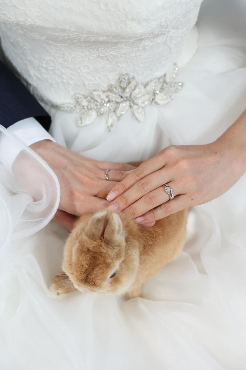 愛するうさぎと夫とのウエディングフォト_51750_投稿写真_2