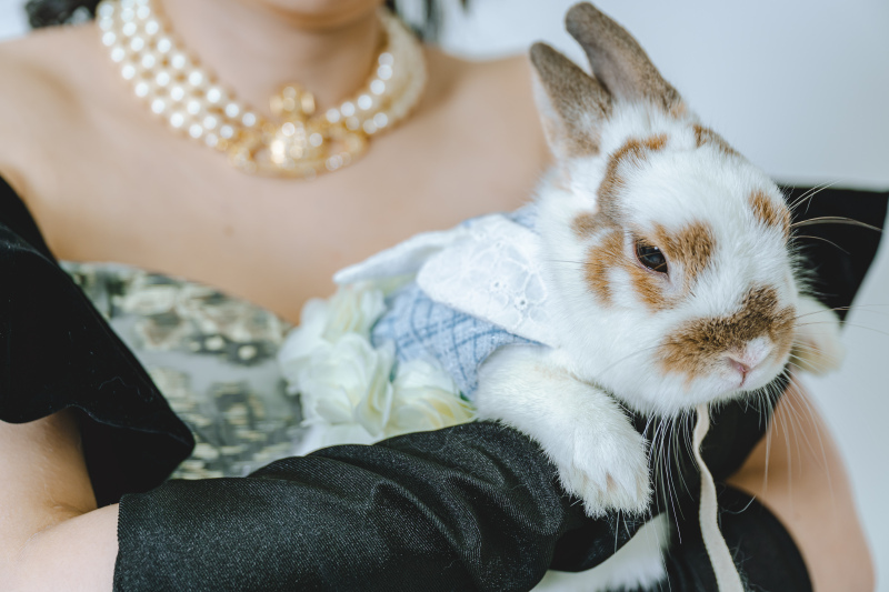 Wedding Select_投稿写真