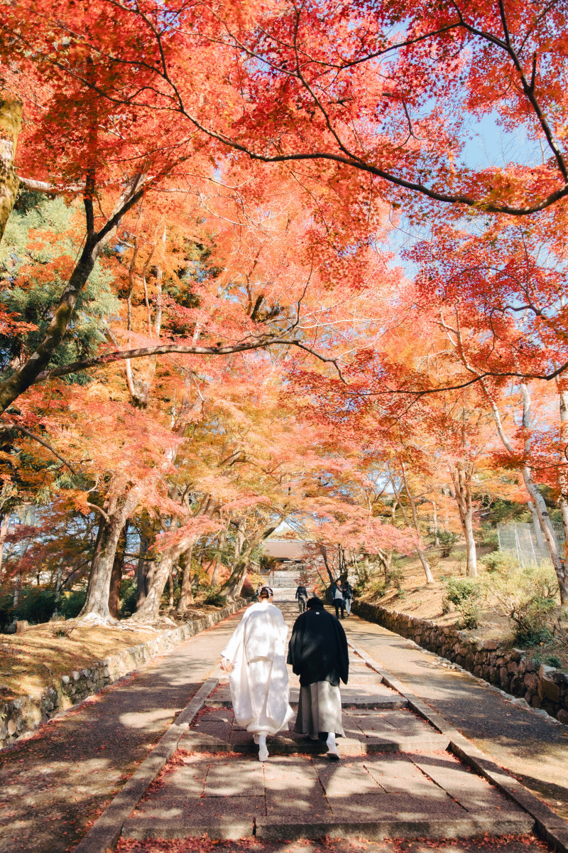 憧れの白無垢と紅葉で楽しく撮影できました_52500_投稿写真_1