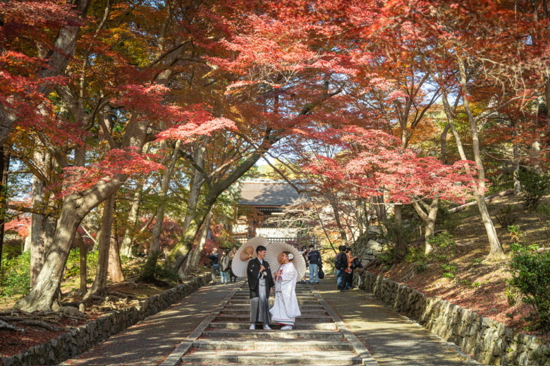 LICIAN―スタジオリシアン―_投稿写真