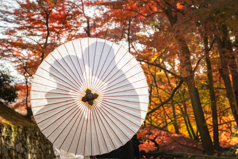 紅葉キャンペーンプラン:（和装1着1カ所）_51959_投稿写真_1