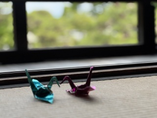 ily_アドバイス写真