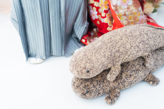 MaiBRIDE　春日井_アドバイス写真