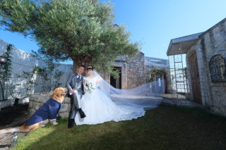 フォトスタジオラヴュー本店_アドバイス写真