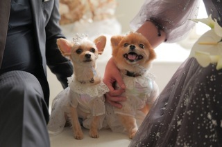 Creators'Genic_アドバイス写真