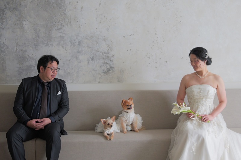 Creators'Genic_投稿写真