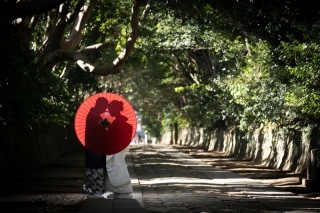 ル・トレフル produced by スタジオエス_アドバイス写真