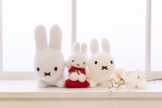 ウエディングフォトスタジオReiMei＋_アドバイス写真