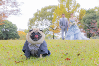 アトリエシュウ_アドバイス写真