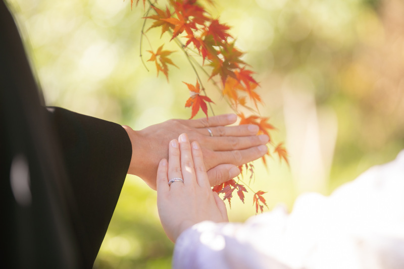 三溪園の紅葉が綺麗でした！_52306_投稿写真_1