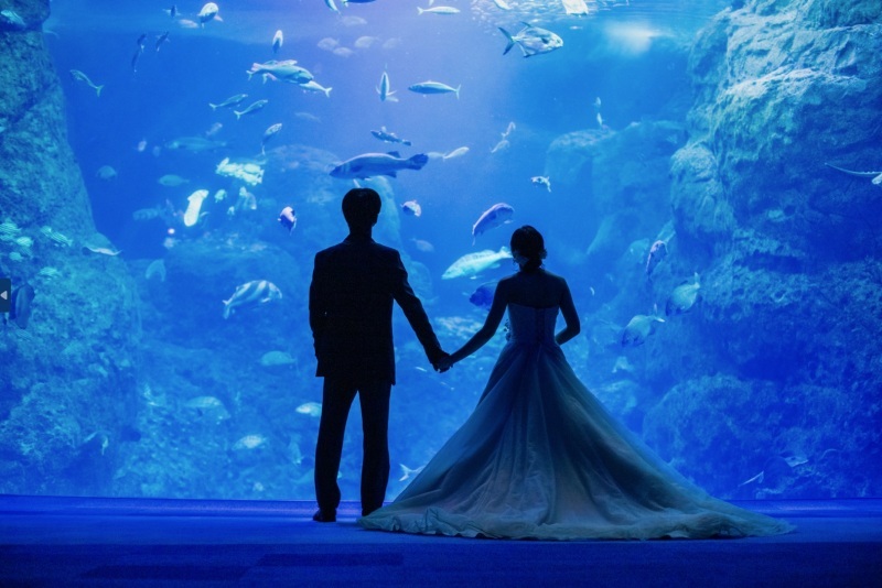 思い出の場所で最高のフォトウェディング_52320_投稿写真_1