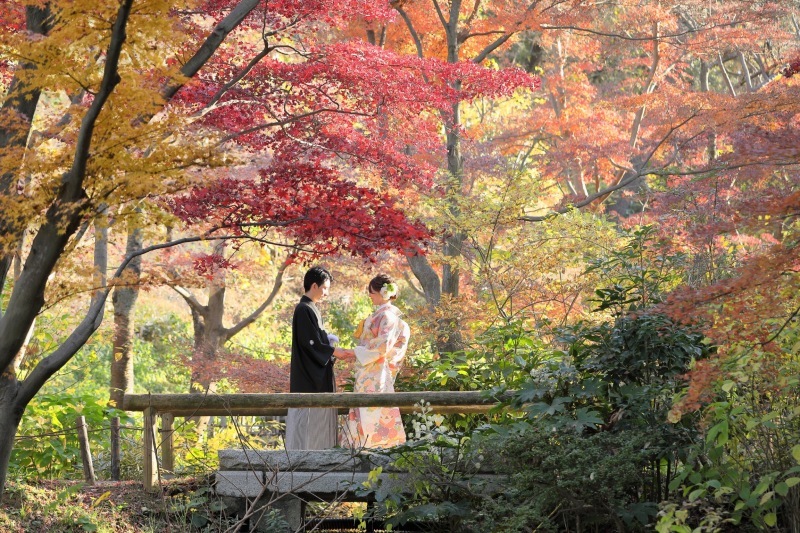 楽しい撮影でした_4591_投稿写真_1