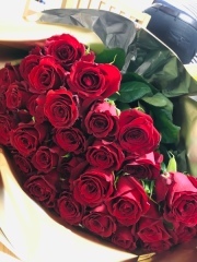 スタジオムーン　Drone & Pictures_アドバイス写真