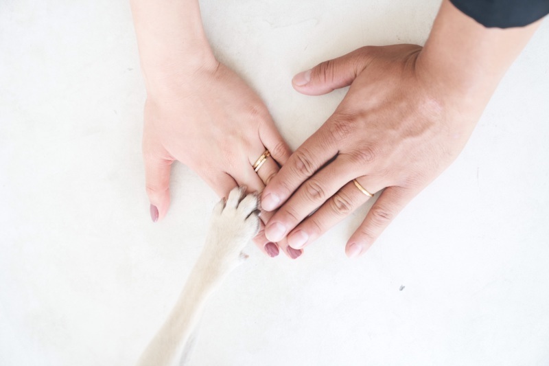 愛犬と撮影!!!_6522_投稿写真_2