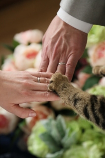 らかんスタジオ宇都宮インターパーク店_アドバイス写真