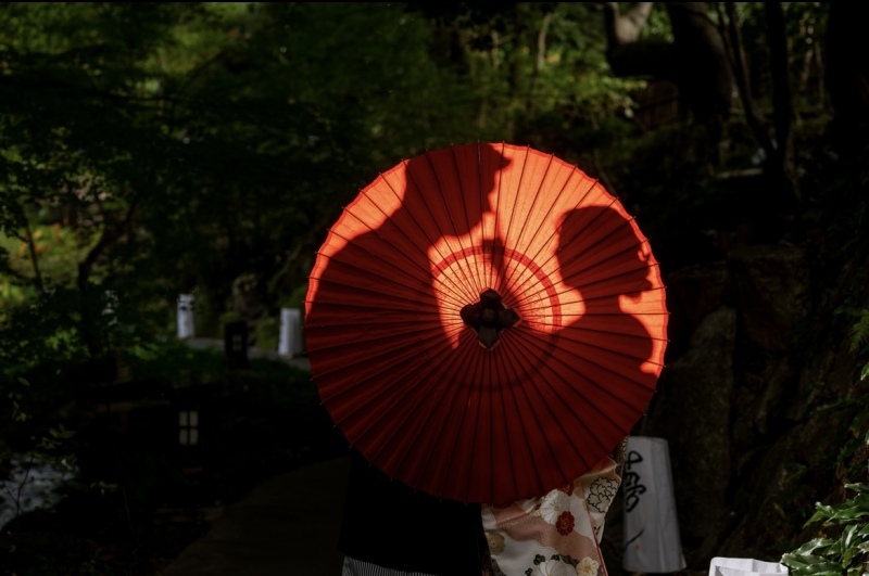 バリエーション豊富なロケーション写真が撮れます_52372_投稿写真_3