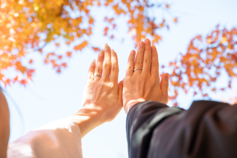 紅葉スポットでの撮影_52409_投稿写真_1