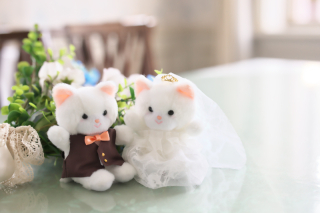 写真だけの結婚式　ecoo（エクー）_アドバイス写真