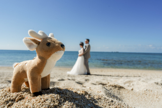 CharMy -ちゃ〜み〜-_アドバイス写真