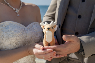 CharMy -ちゃ〜み〜-_アドバイス写真