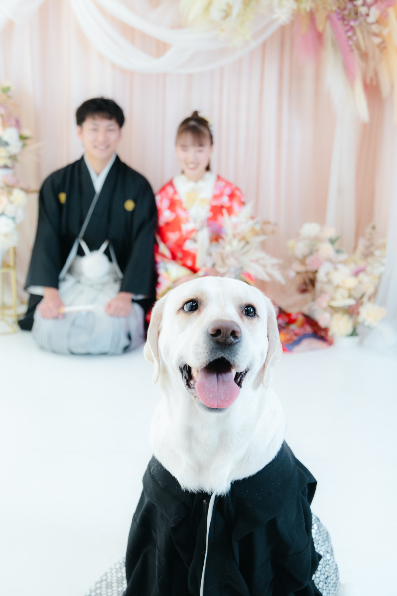 夢が叶いました✨_52567_投稿写真_1