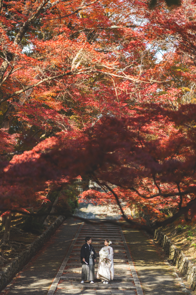 和装も洋装も撮りたい方にはピッタリ！韓国フォトが撮れます◎_52580_投稿写真_1