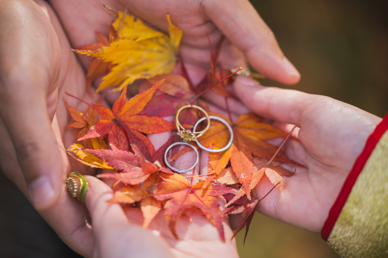 和装にぴったりの兼六園での撮影が可能です_52705_投稿写真_1