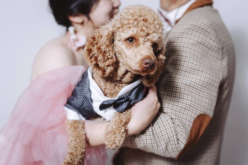 満足する1枚を作り上げてくれます！！_52742_投稿写真_3