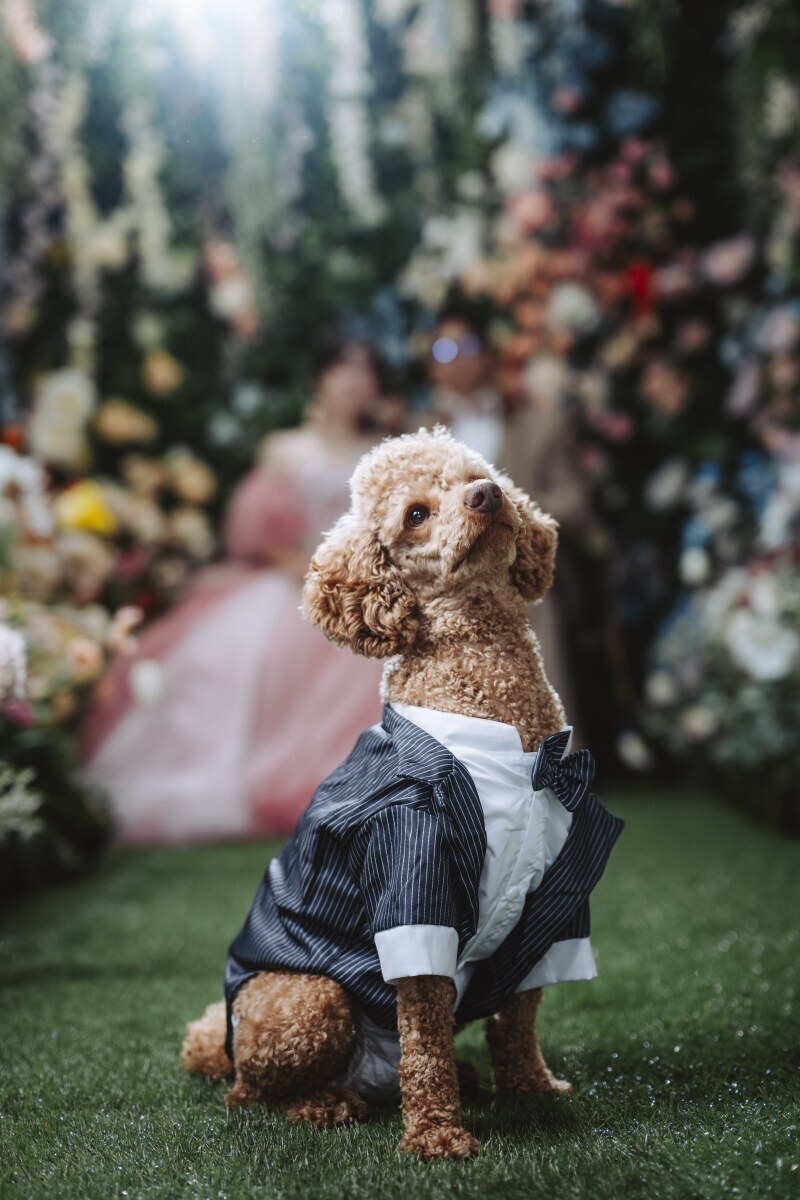 満足する1枚を作り上げてくれます！！_52742_投稿写真_1