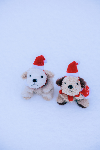 Libars_Tokyo_アドバイス写真