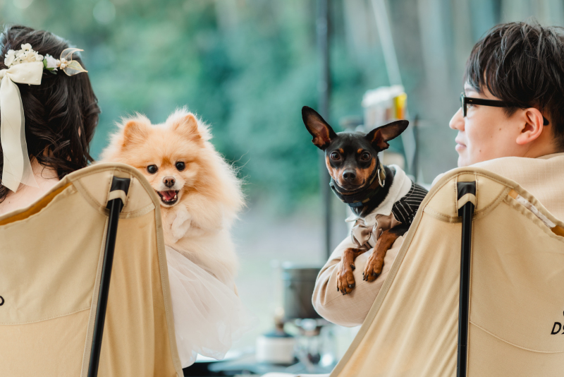 Rita closet・Rita Photo_投稿写真