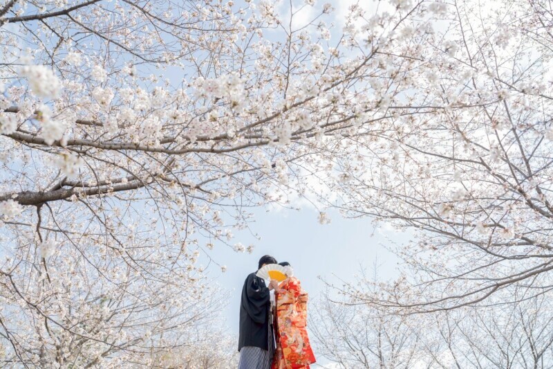 大阪前撮り からん_投稿写真