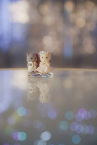 Photo Studio Lily_アドバイス写真