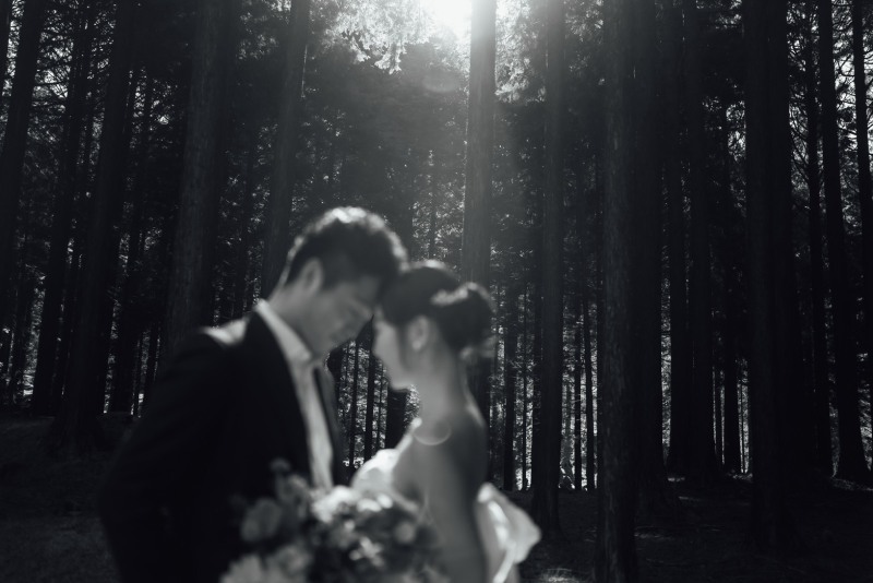 【複数ロケーションにオススメ！】人柄も良く、技術も最高でした_52976_投稿写真_3