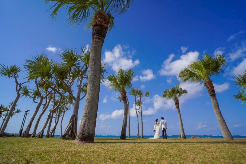 スタンダードな撮影で◎大満足でした！_53023_投稿写真_3