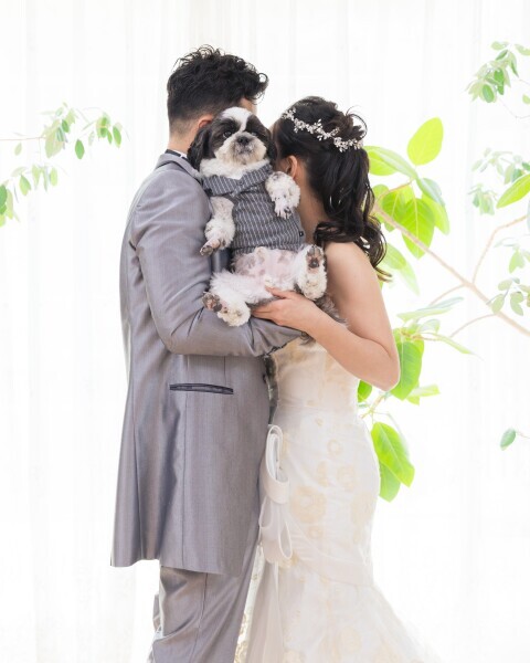 1日邸宅貸切で庭園もあり愛犬とも撮影できるスタジオ!!_53039_投稿写真_1