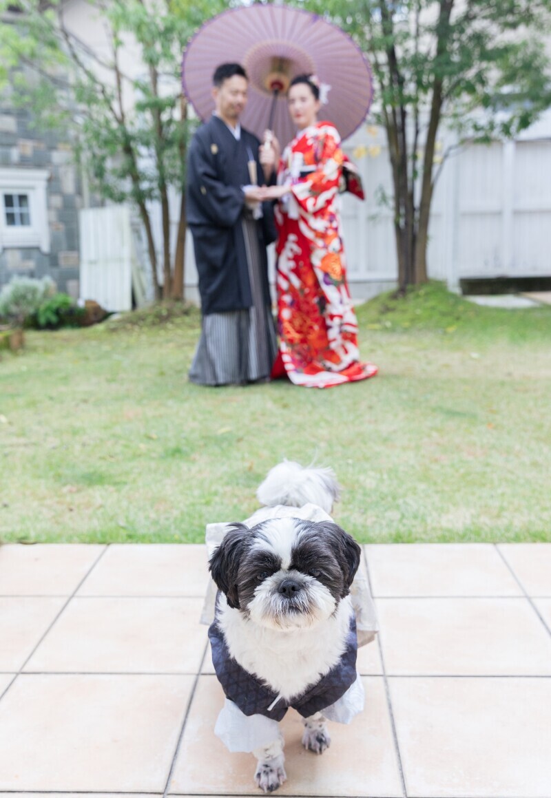 【フォトウェディング専門】貸切邸宅スタジオ　アトリエ リシュマリア_投稿写真