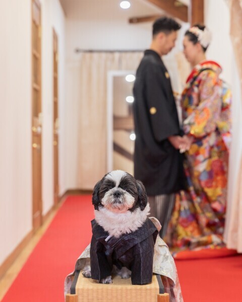 【フォトウェディング専門】貸切邸宅スタジオ　アトリエ リシュマリア_投稿写真