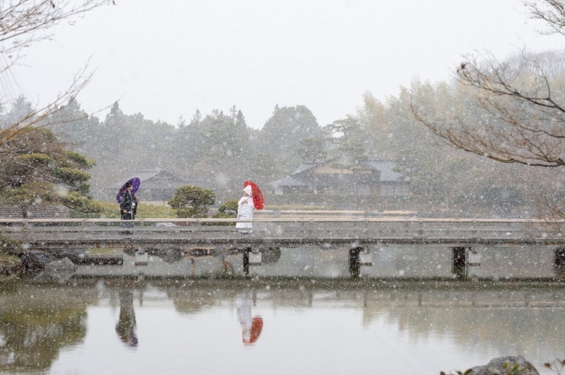 コスパ大満足！価格・スタッフの方共にとても良心的_53230_投稿写真_1