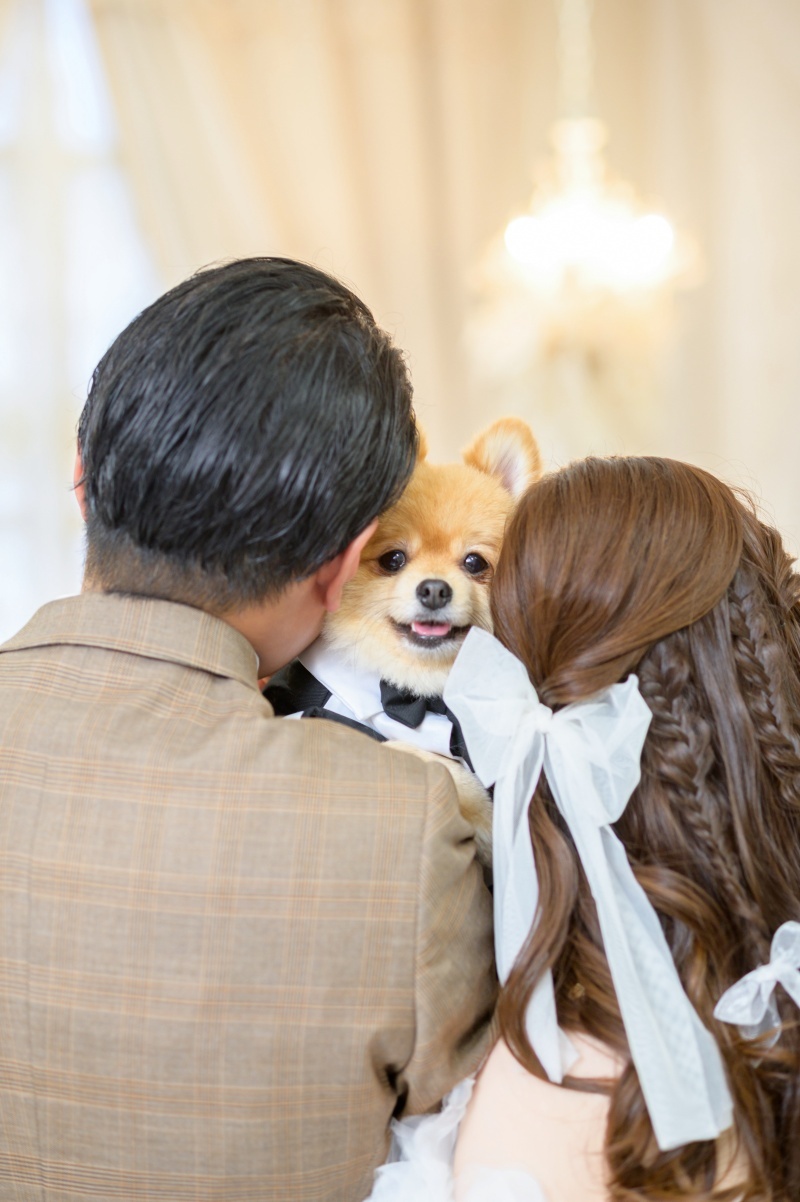 Photo Studio Cocozo（フォトスタジオココゾ）長崎・佐世保_投稿写真