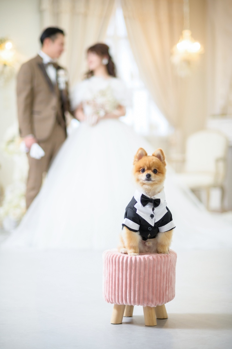 ペット連れでも安心◎_53382_投稿写真_1