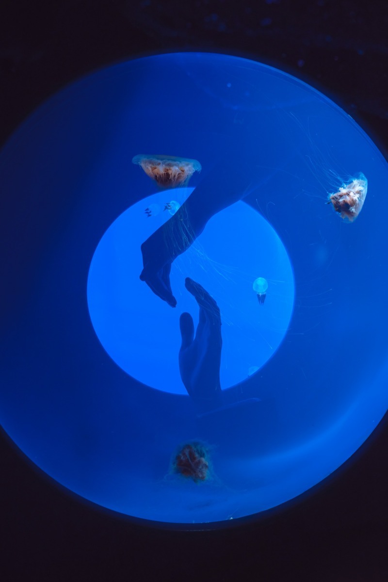 Jheart 江ノ島_投稿写真