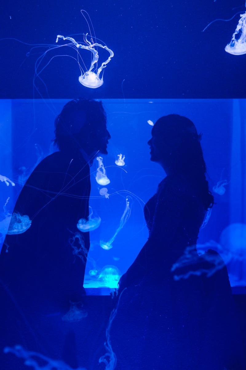 【江ノ島水族館】幻想的な時間を一生の思い出に_53435_投稿写真_1