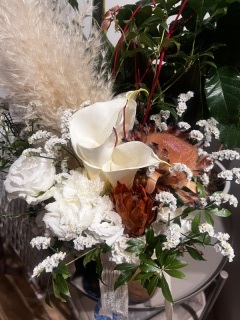 Rita closet・Rita Photo_アドバイス写真