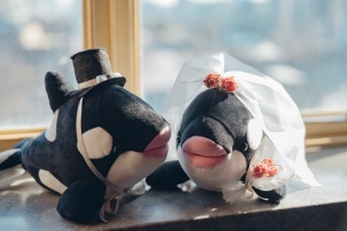 Photo Maison &eacute;crin 大阪店_アドバイス写真